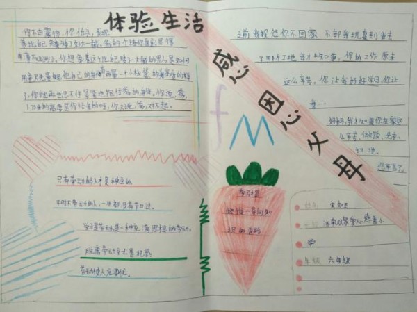 体验生活感恩父母手抄报