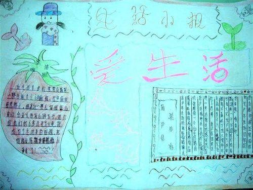 城关小学六年级八班难忘的小学生活手抄报展示小学生活动实践手抄报