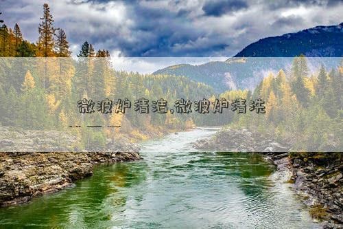 微波炉清洁,微波炉清洗