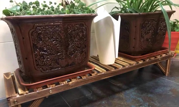 “花”点时间，提升生活幸福感