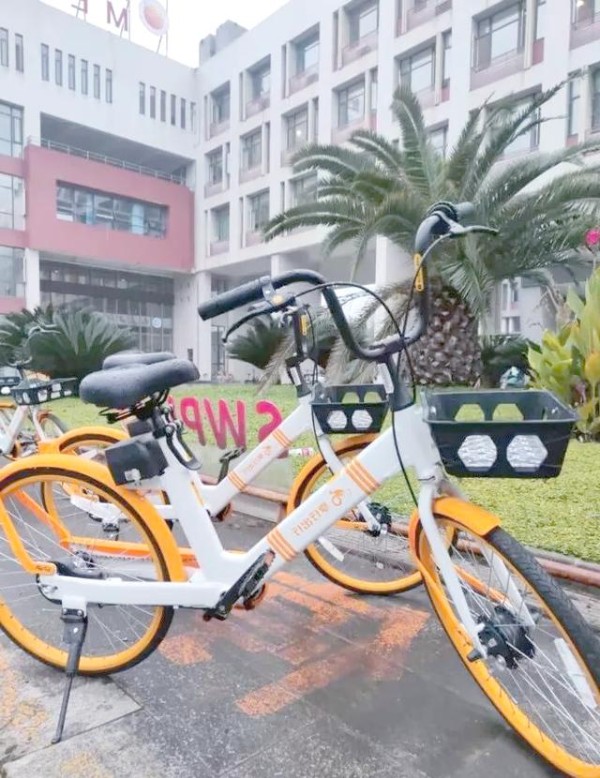 校园交通的新选择：观光车、共享电动车与自行车-有驾