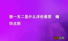 独一无二是什么洋价意思 确切点的