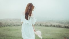 蜘蛛的简笔画