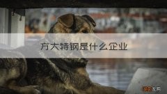 方大特钢是什么企业