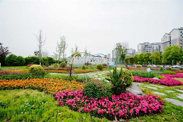 双流城区五一前花卉大换新，城市景观焕然一新