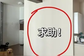 新式“万能贴”一出,乳胶漆不吃香了!全屋只花百十块,真实用图片