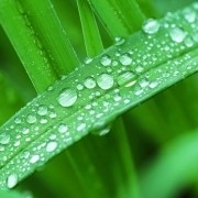 用户1505798511