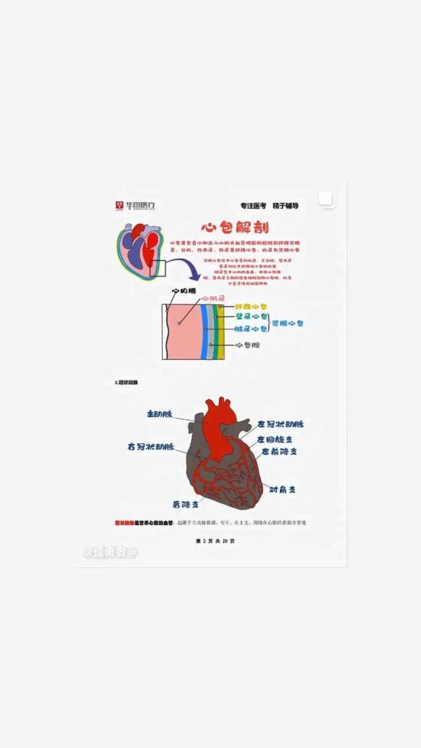 简单实用的医学小常识 - 1000个医学小常识大全