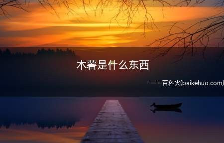 木薯是什么东西(大戟科木薯属植物,被称为淀粉之王)