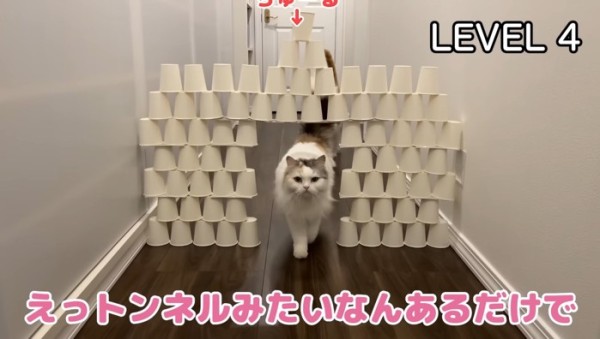 LEVEL4
