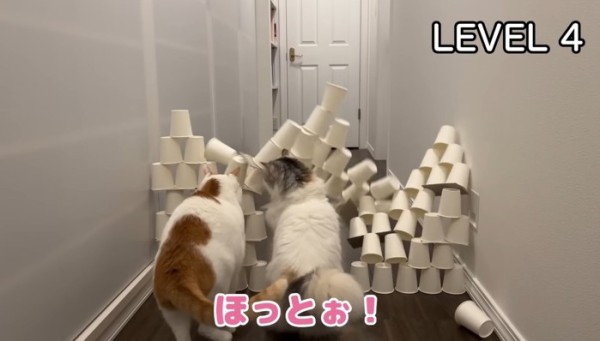 トンネル崩壊
