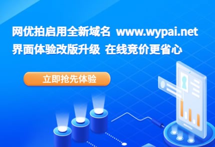 网优资产处置平台