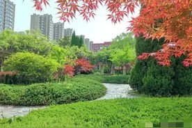 这27个小技巧会让你从此爱上做家务图片