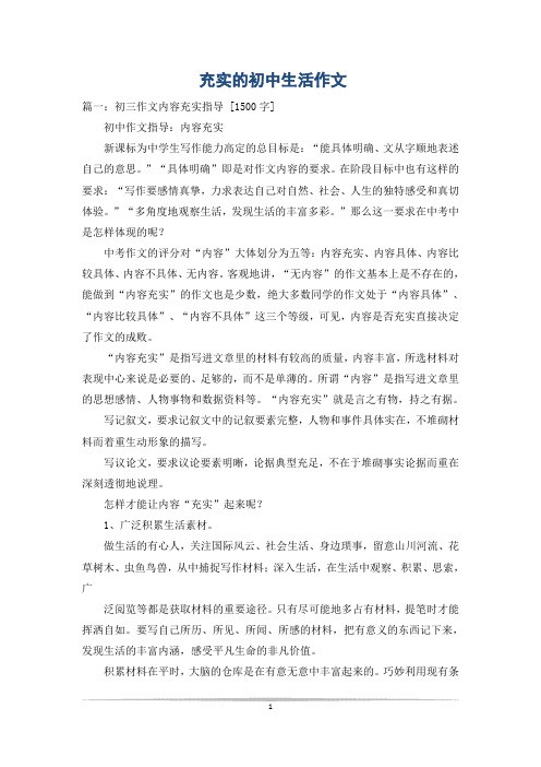 充实的初中生活作文