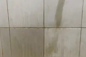卫生间清洁全攻略!霉斑、水垢、异味等,一文讲清,记得收藏图片
