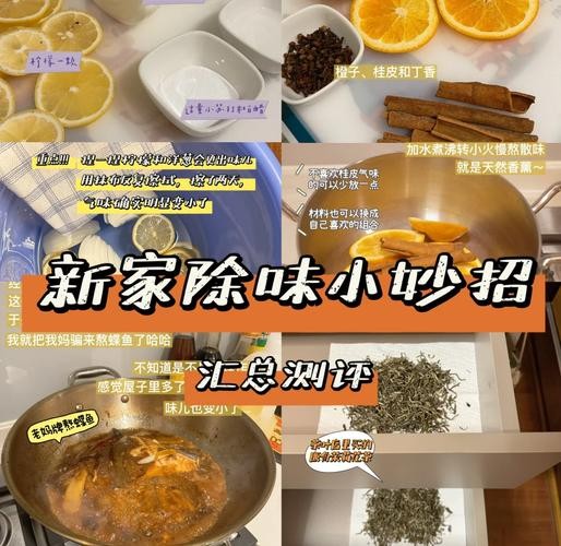 新家具如何除味（新家具如何快速除味）