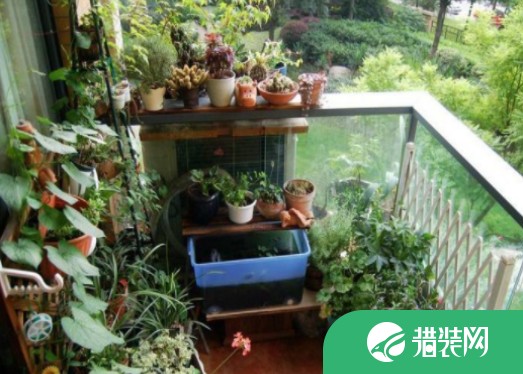 阳台花园要怎么设计?花园具体要怎么布置?