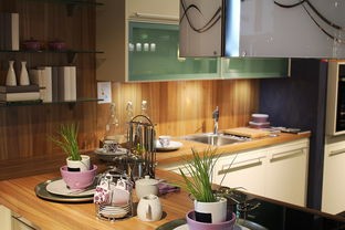 厨房里的魔法工具——可直接加热的仪器，让生活更简单！