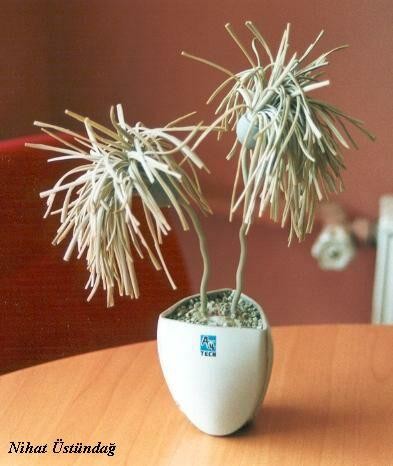 废旧键盘鼠标变成工艺品 第15张