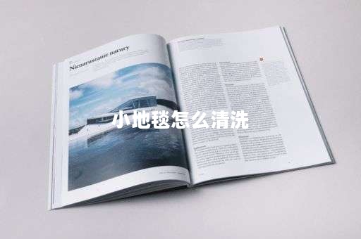 小地毯怎么清洗