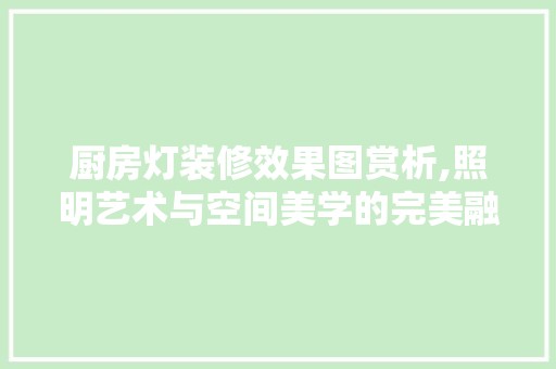 厨房灯装修效果图赏析,照明艺术与空间美学的完美融合 软装设计