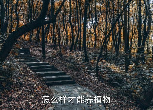 怎么样才能养植物