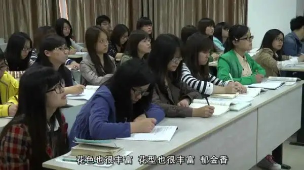 6节花艺课：用鲜花装点诗意人生