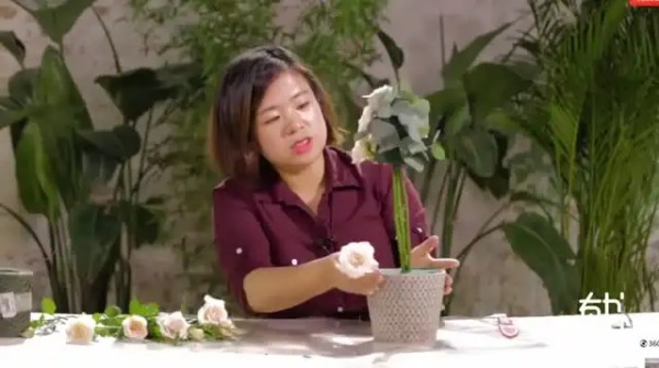 20节插花视频教程：用花艺点亮生活美学