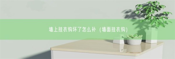 墙上挂衣钩坏了怎么补（墙面挂衣钩）(图1)