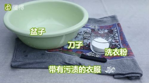 如何快速去除衣服上的污渍？家庭常备的哪些物品可以用来处理污渍？