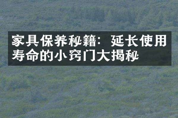 家具保养秘籍：延长使用寿命的小窍门大揭秘