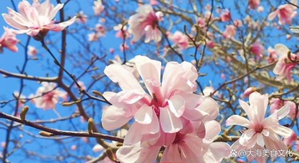 五一怎么花小钱玩得好