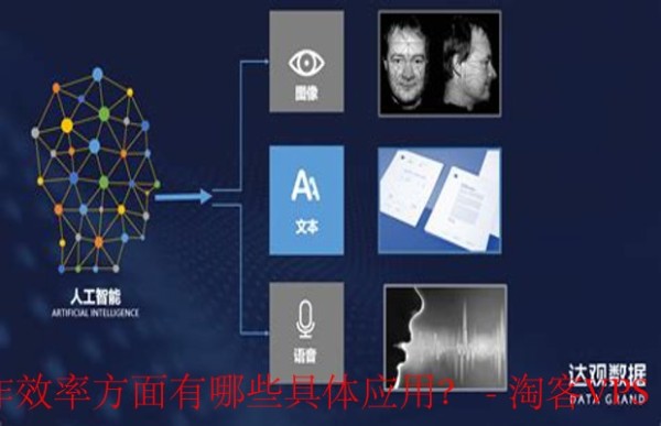 文本处理工具应用 - 提升语言能力与工作效率