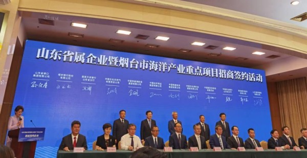 科技与生活的融合引领新时代投资风潮，如何解读股票板块趋势