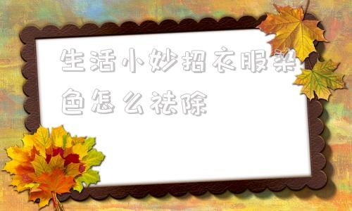 生活小妙招衣服染色怎么祛除 衣服染色了用这三个方法瞬间洗掉