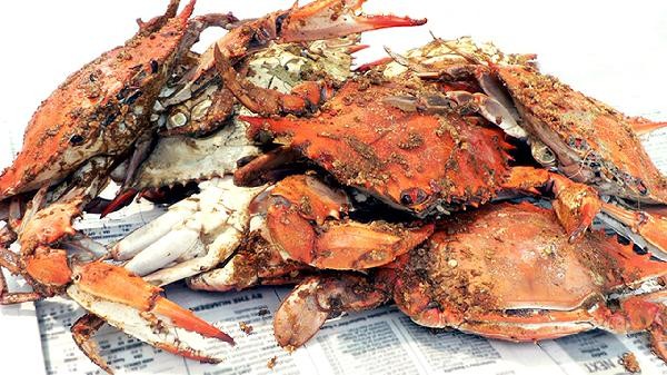 7种常见健脾养胃的食物