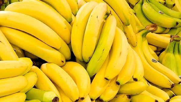 7种常见健脾养胃的食物