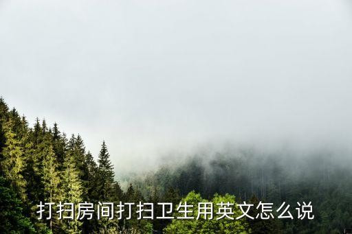 打扫房间打扫卫生用英文怎么说