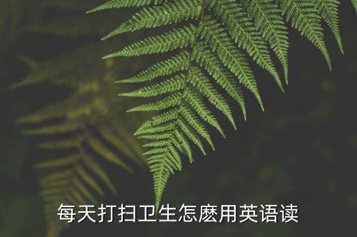 每天打扫卫生怎麽用英语读