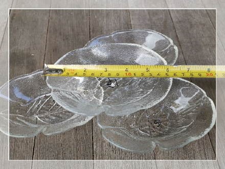 园艺DIY："冰激凌小碗”种植