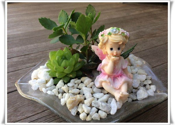 园艺DIY：介绍我的“水果盘种植”
