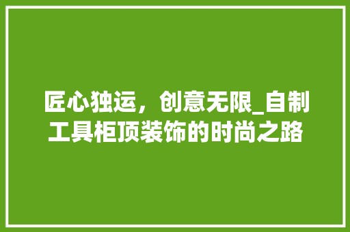 匠心独运，创意无限_自制工具柜顶装饰的时尚之路 室内设计