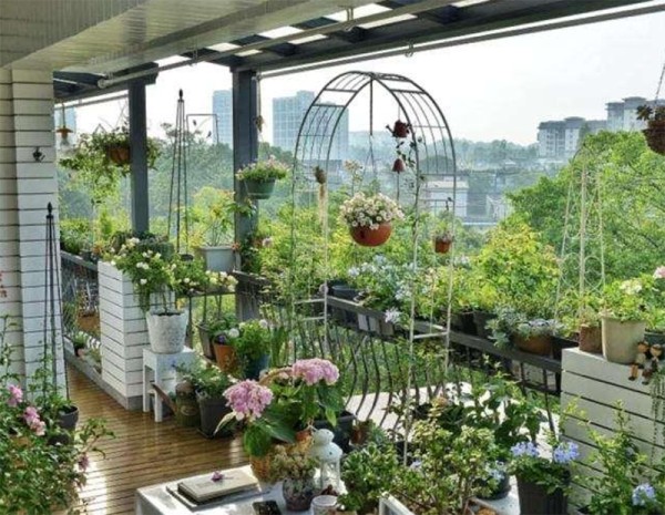 阳台花园改造方法，阳台如何打造温馨小花园 第2张