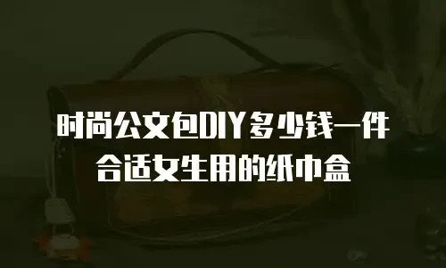 时尚公文包DIY多少钱一件合适女生用的纸巾盒