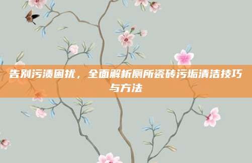 告别污渍困扰,全面解析厕所瓷砖污垢清洁技巧与方法