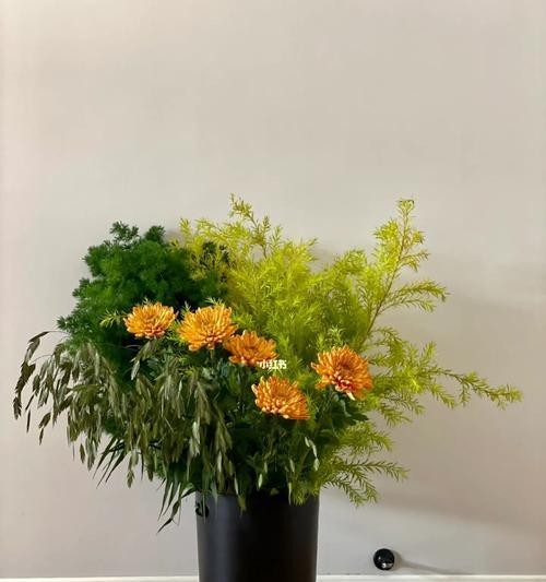生活中常见的插花配草有哪些？如何选择合适的插花配草？