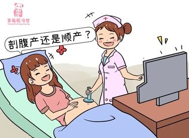 到底剖腹产还是顺产呢？草莓熊母婴老师来说