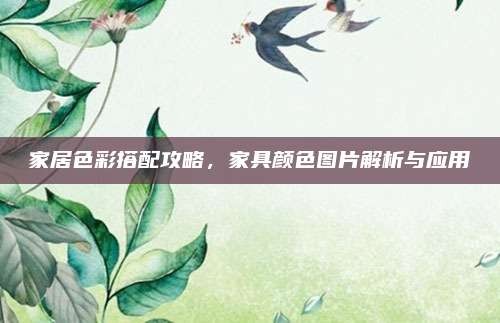 家居色彩搭配攻略,家具颜色图片解析与应用