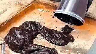 男子手工修复坑洼的地面,使原本破损的路面瞬间恢复平整如新了!