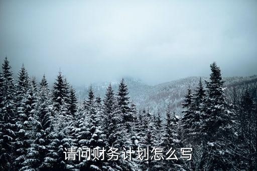 请问财务计划怎么写